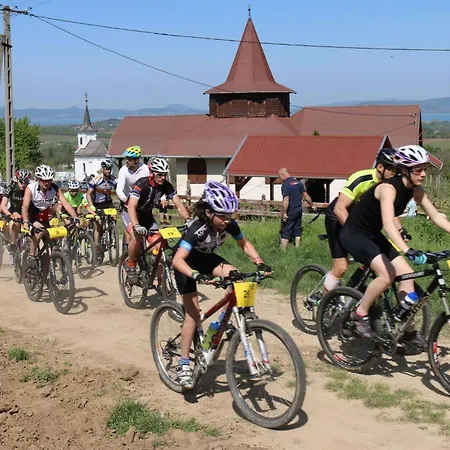 In 40765 Balatonlelle